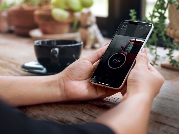 Bommarito Mazda South County in St. Louis MO